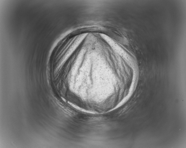 X0000064720342200603031621