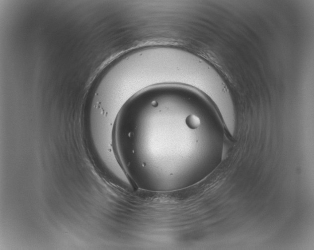 X0000064720348200603031621