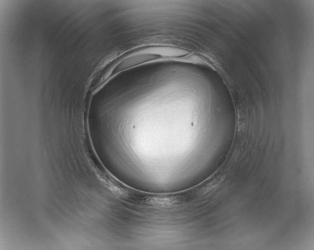 X0000064720349200603031621