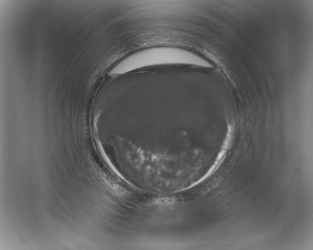 X0000064720353200603031621