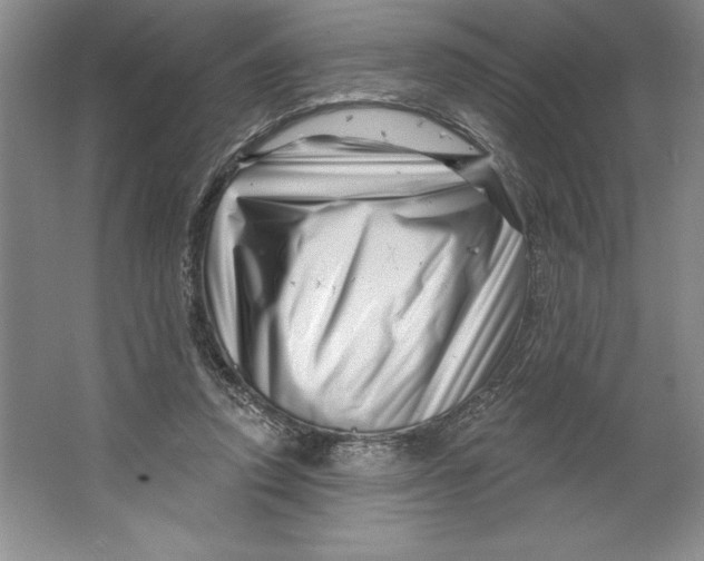 X0000064720354200603031621