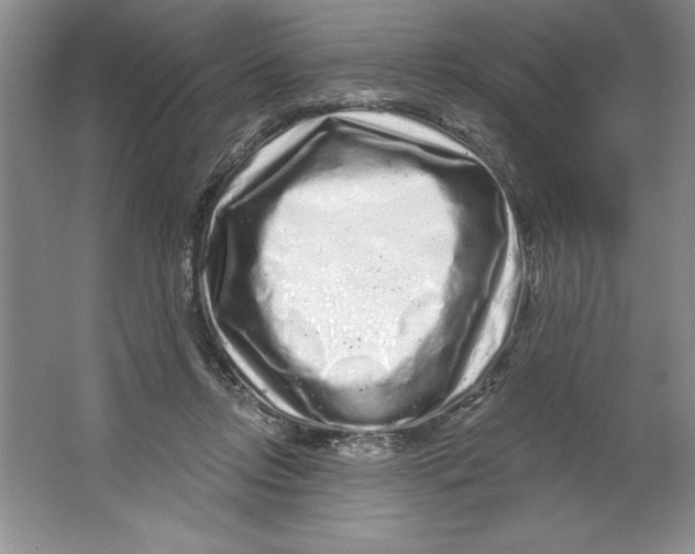 X0000064720358200603031622