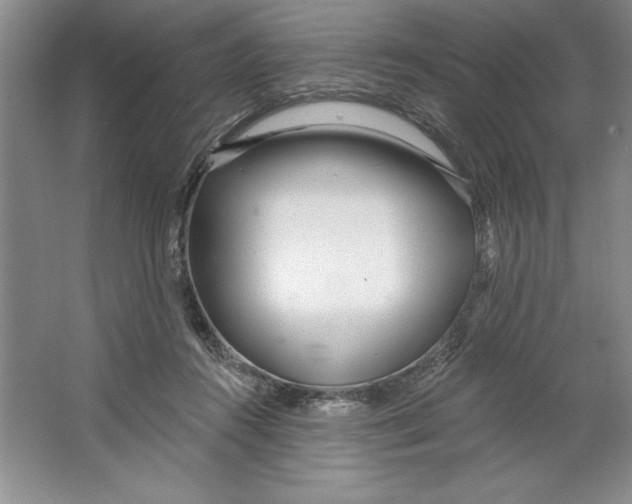 X0000064720360200603031622
