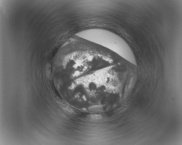 X0000064720361200603031622
