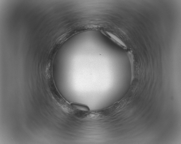 X0000064720364200603031622