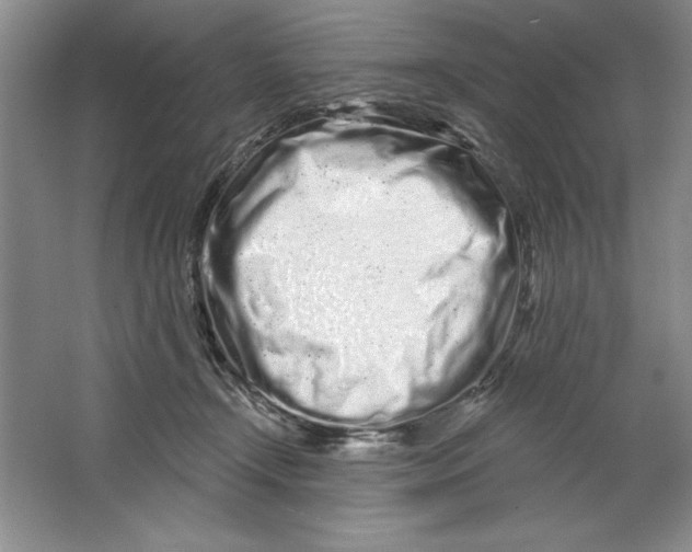 X0000064720366200603031622