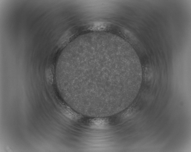 X0000064720370200603031622
