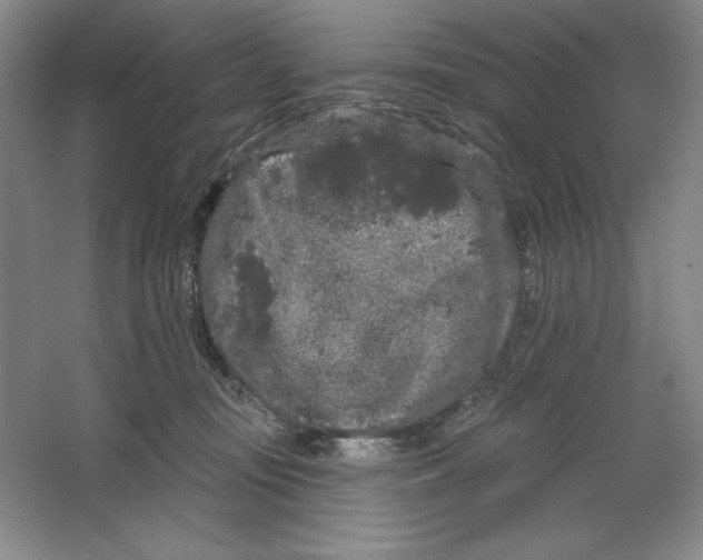 X0000064720371200603031622
