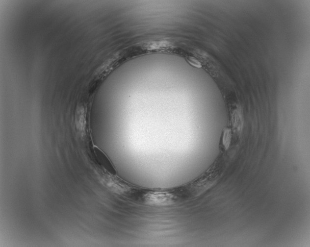 X0000064720372200603031622