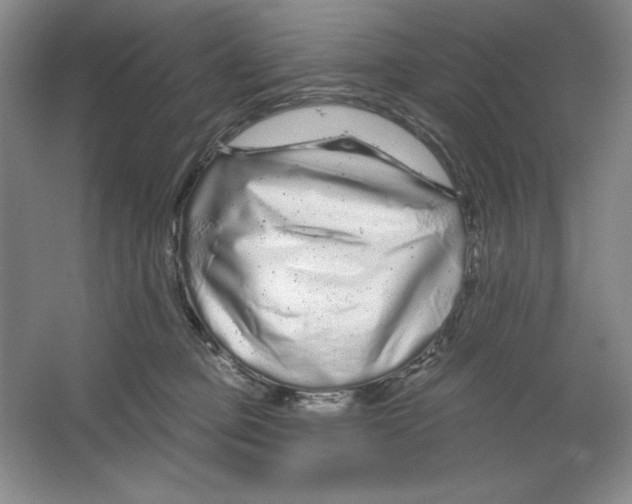X0000064720373200603031622