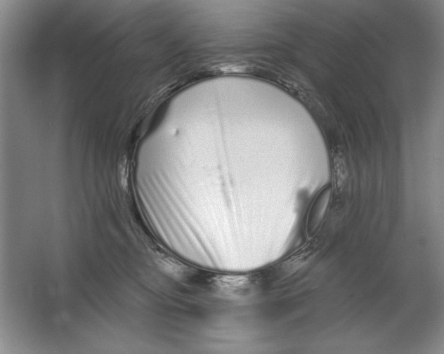 X0000064720374200603031622