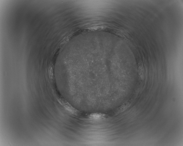 X0000064720375200603031622
