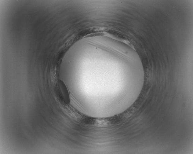 X0000064720376200603031622