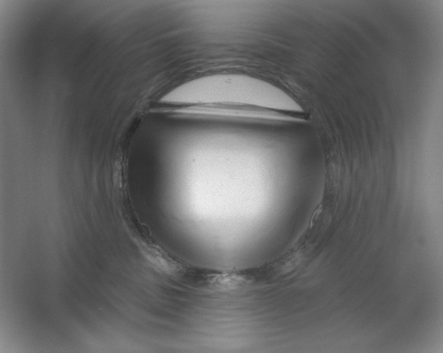 X0000064720379200603031622
