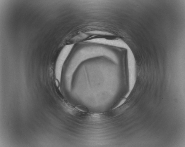 X0000064720382200603031622