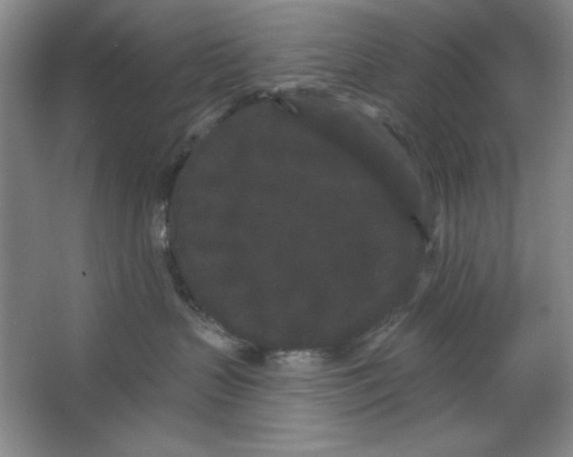 X0000064720383200603031622
