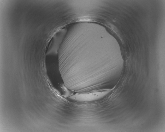 X0000064720385200603031621