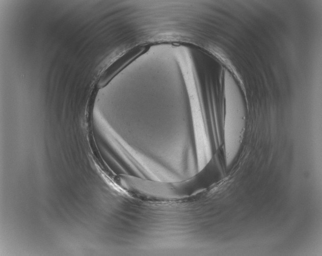 X0000064720389200603031621