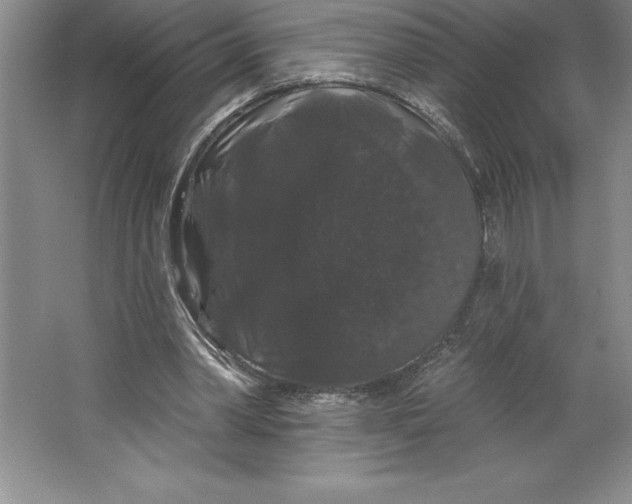 X0000064720390200603031621