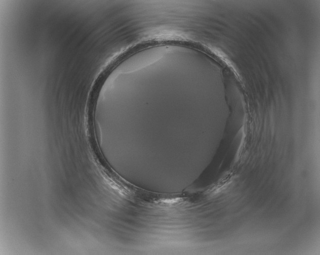 X0000064720391200603031621
