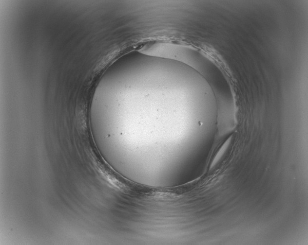 X0000064720393200603031621