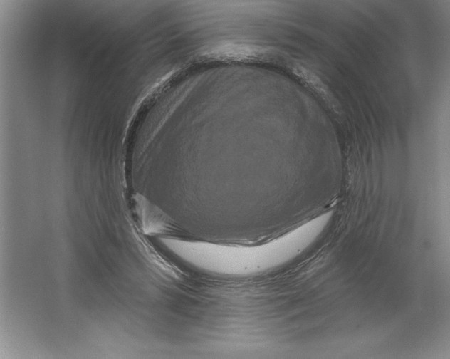 X0000064720399200603031621