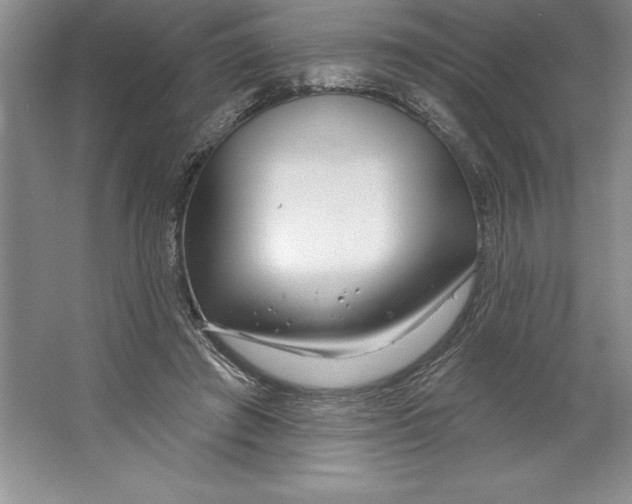 X0000064720401200603031621