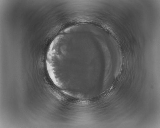 X0000064720402200603031621