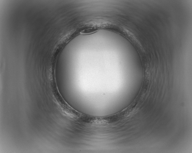 X0000064720403200603031621
