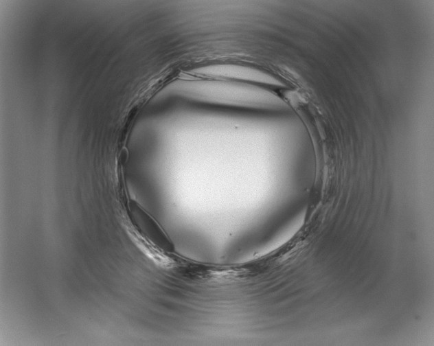 X0000064720405200603031621