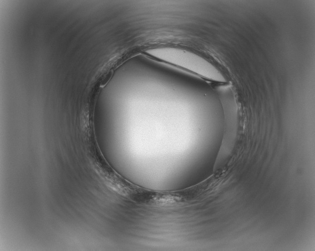 X0000064720407200603031621