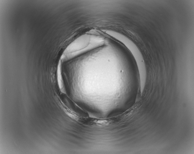 X0000064720409200603031621