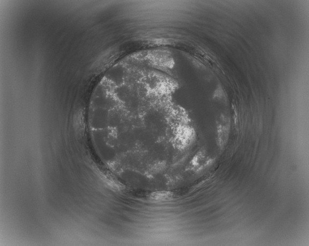 X0000064720410200603031621