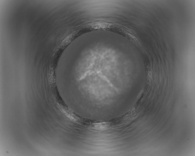 X0000064720411200603031621