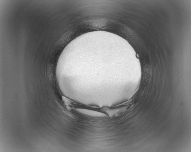 X0000064720412200603031621