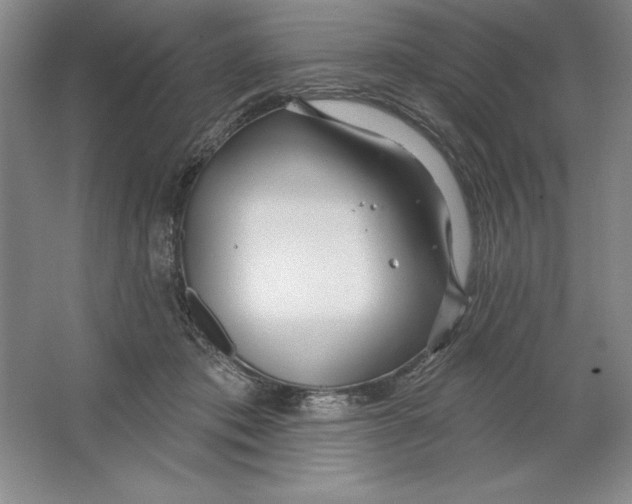 X0000064720413200603031621