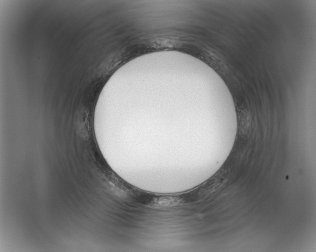 X0000064720414200603031621