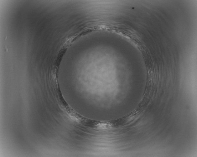X0000064720415200603031621