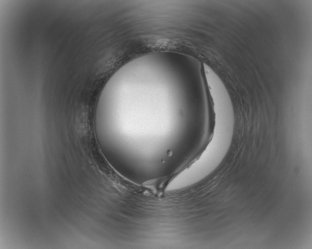 X0000064720416200603031621