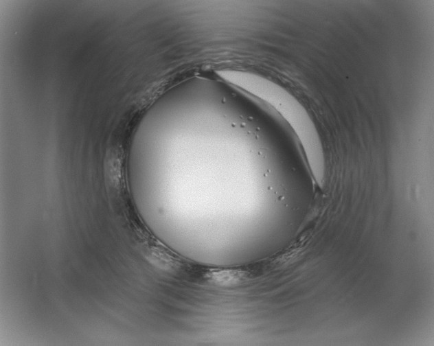 X0000064720417200603031621