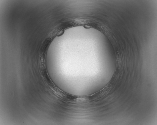 X0000064720418200603031621