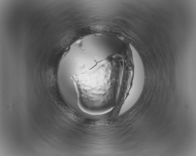 X0000064720420200603031621