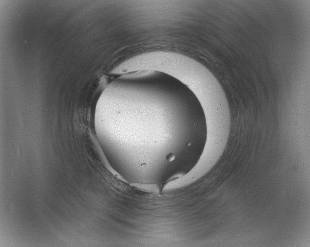 X0000064720421200603031621