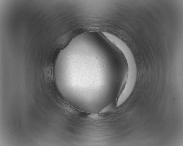 X0000064720425200603031620