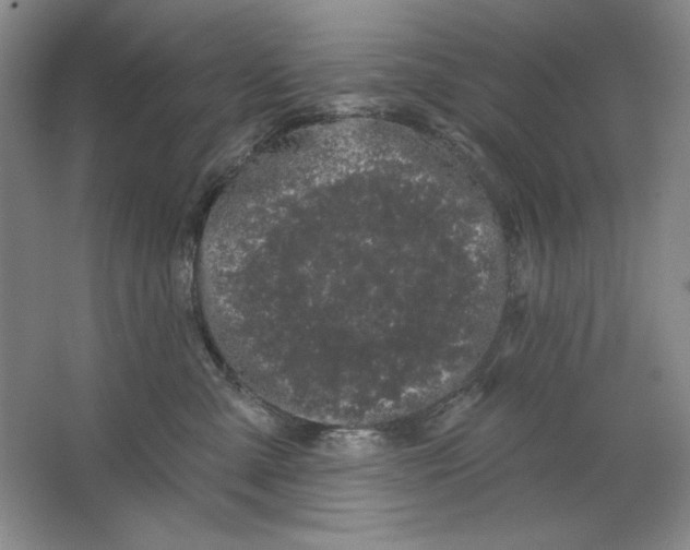 X0000064720427200603031620