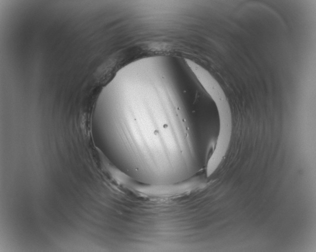 X0000064720428200603031620