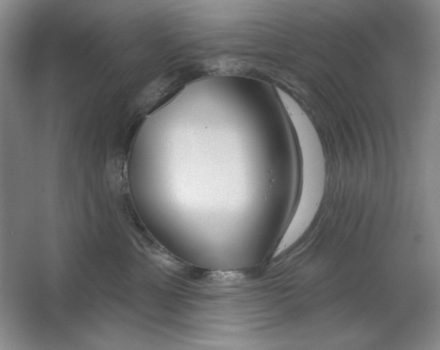 X0000064720429200603031620