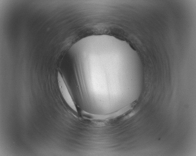 X0000064720432200603031620