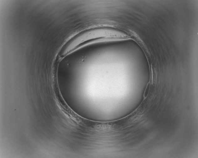 X0000064720435200603031620