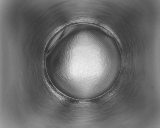 X0000064720437200603031620